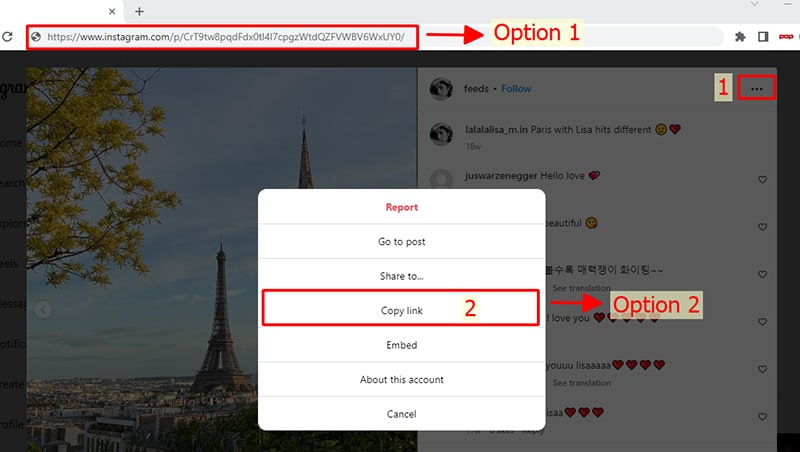 Copy the private post link