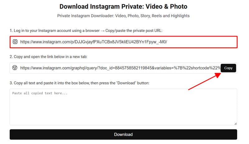 Paste the private link into the snapclip